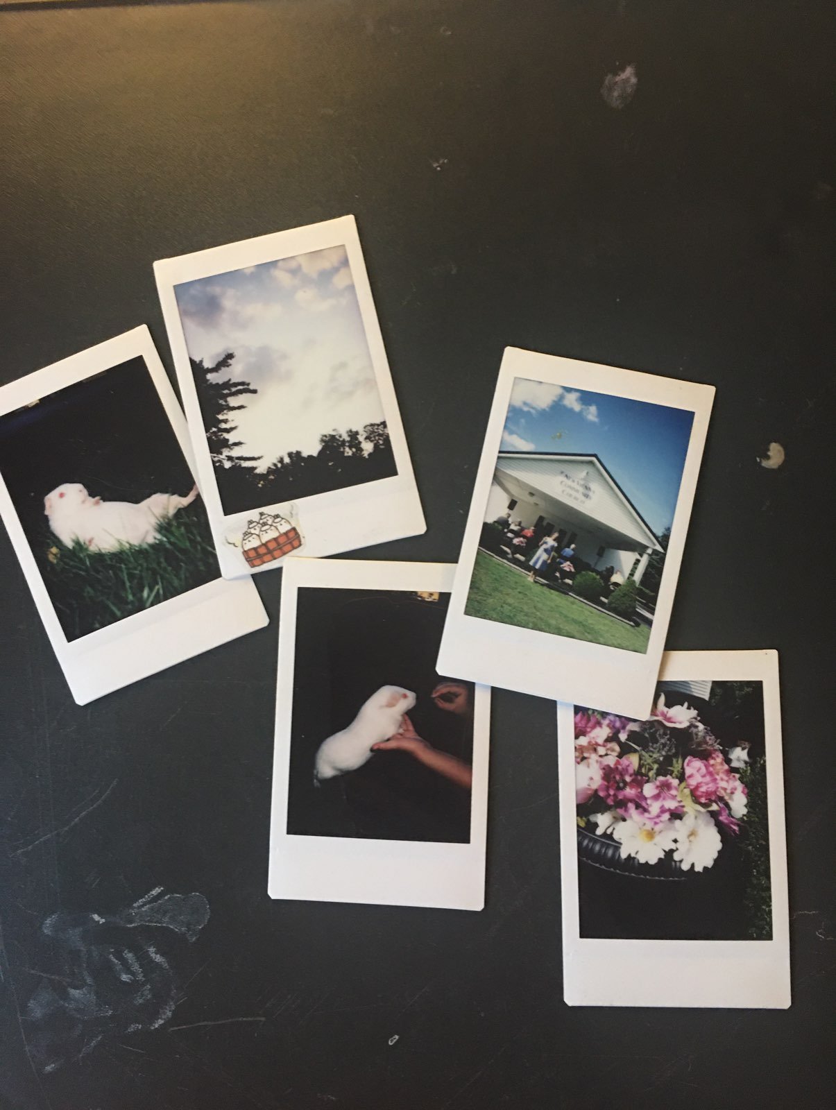 Pictures- instax camera