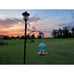 Hummingbird Feeder, 18016P Glass Hummingbird Feeder for Outdoors - Blue