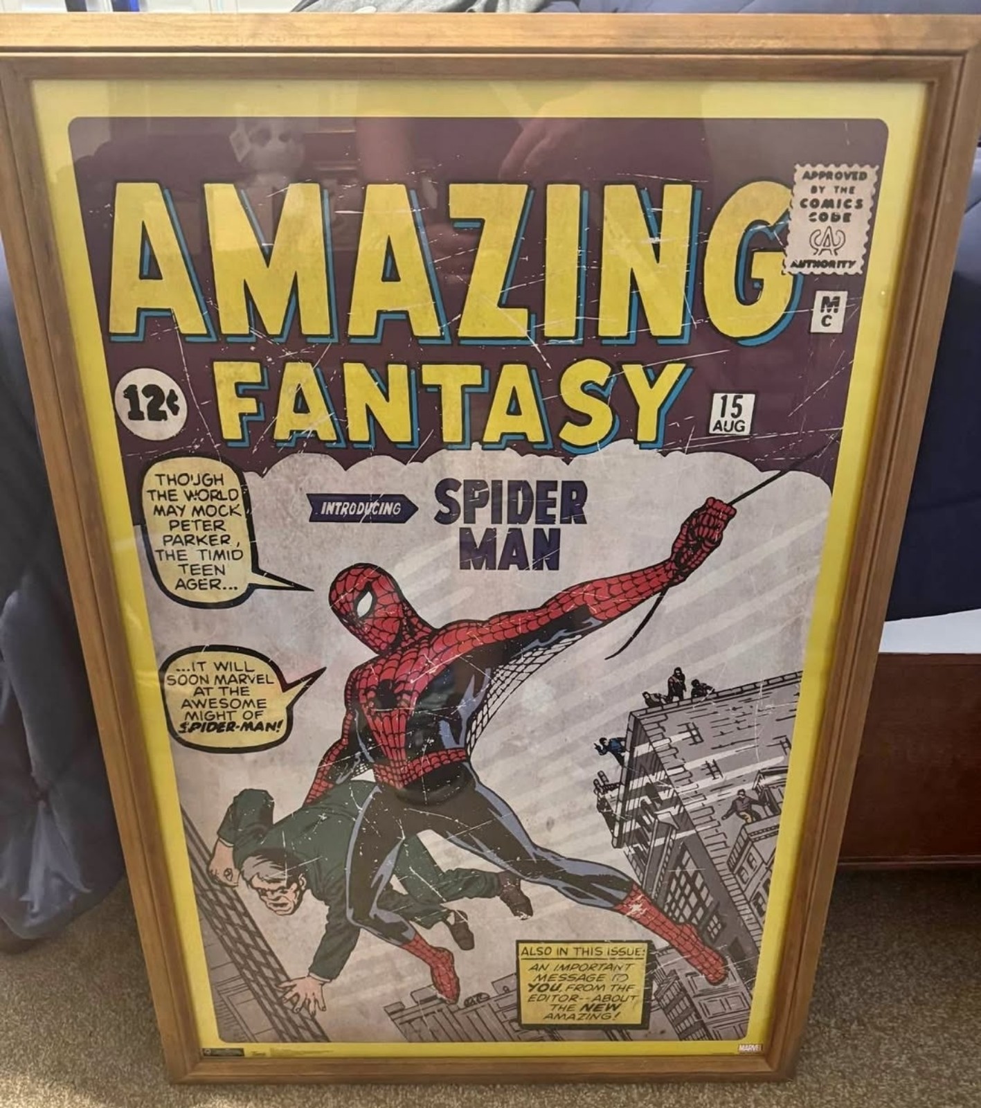 Amazon.com: The Amazing Spider-Man - Marvel Comics Poster