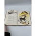 1953 The Four Riders Charlotte Krum 1st Ed HC Vintage Childrens Book Reader Gift