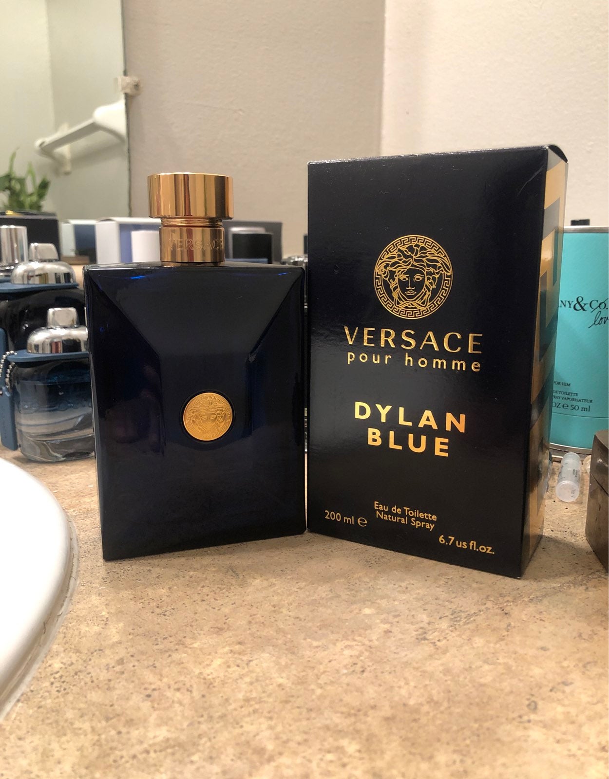 Versace Dylan Blue