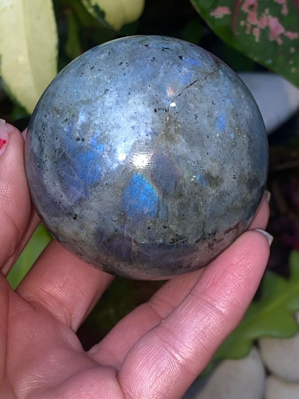 Blue Labradorite Sphere & Bonus Gifts