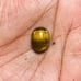 Tiger Eye Gemstone Cab-5Pc-TEL-48