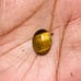 Tiger Eye Gemstone Cab-5Pc-TEL-48