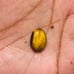 Tiger Eye Gemstone Cab-5Pc-TEL-48