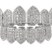 White gold diamond teeth