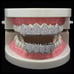 White gold diamond teeth