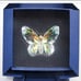 Swarovski Crystal Butterfly Figutinr***Mint***! Aurora Borealis