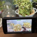 Sony HDR-CX270V Video Camera