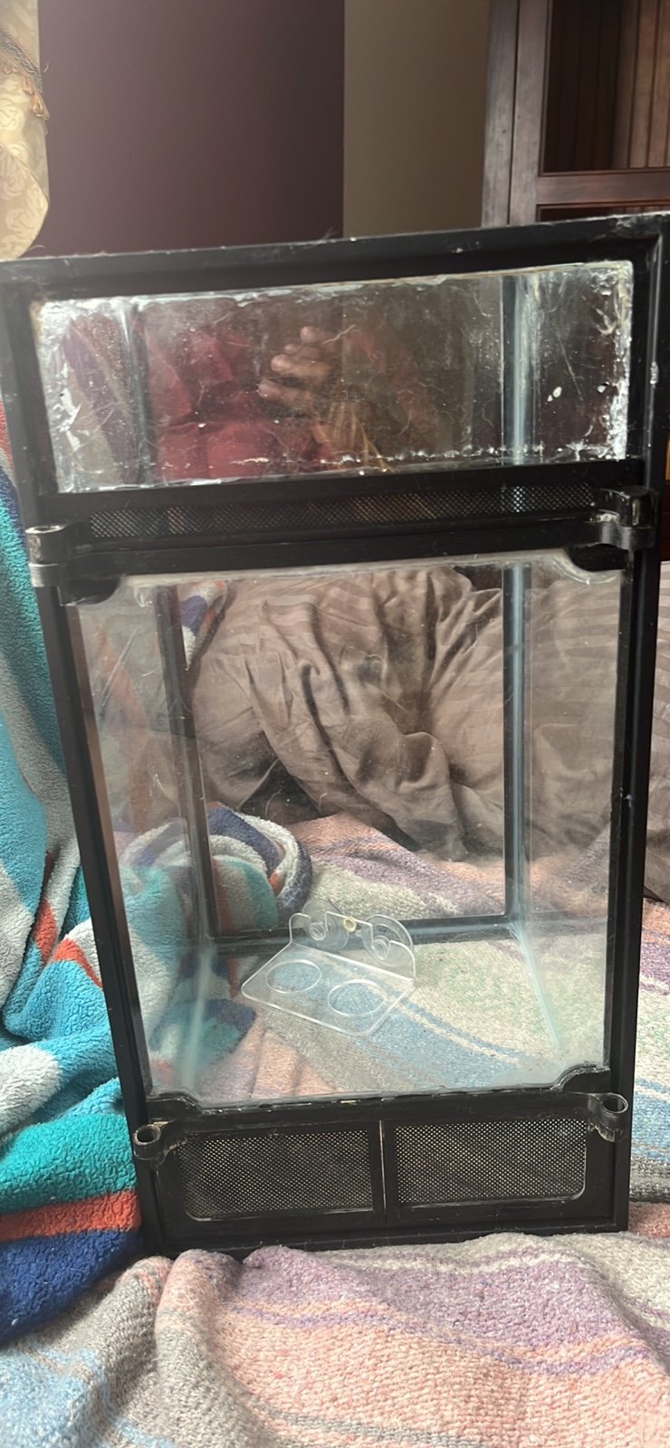DIY reptile cage