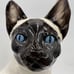 (Only One!) 1940's Giovanni Ronzan Porcelain Siamese Cat Figurine Made in Italy!