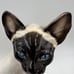 (Only One!) 1940's Giovanni Ronzan Porcelain Siamese Cat Figurine Made in Italy!