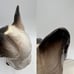 (Only One!) 1940's Giovanni Ronzan Porcelain Siamese Cat Figurine Made in Italy!