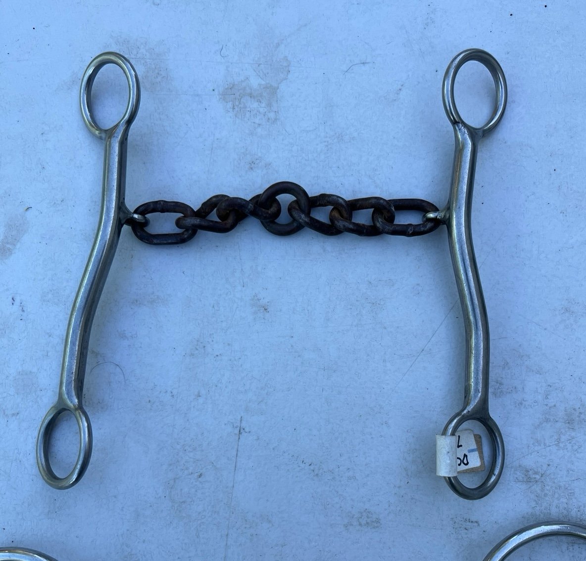 Sharon Camarillo chain mouth bit