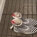 Women's Vans Vault Skoot LX Boot 'Checkerboard'