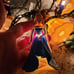 Disney Princess String Lights Christmas Tree Plus Evil Queen