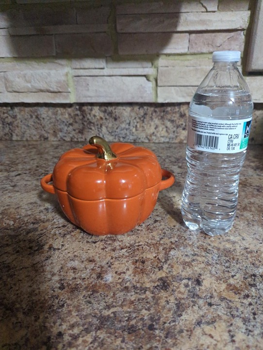 Fall Pumpkin Ceramic Bowl with Lid, 15 oz Microwave & Dishwasher Safe Pumpkin So