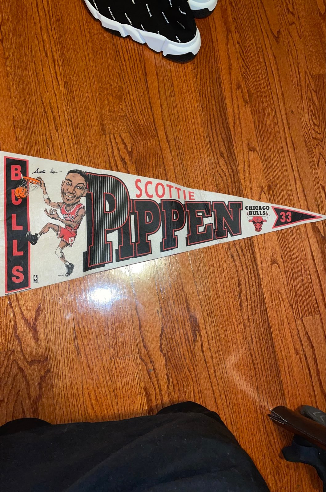 Chicago bulls banner