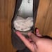 Trotters Jenn Mini Gray Slip Ons