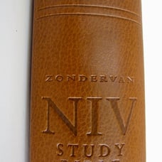 NIV Study Bible Brown Leather Like Cover Christs Word in Red Zondervan Footnotes