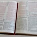NIV Study Bible Brown Leather Like Cover Christs Word in Red Zondervan Footnotes