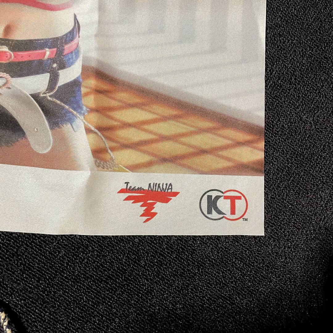 VV PRISM DEAD OR ALIVE X Honoka Cloth Poster DOA 6 Posters