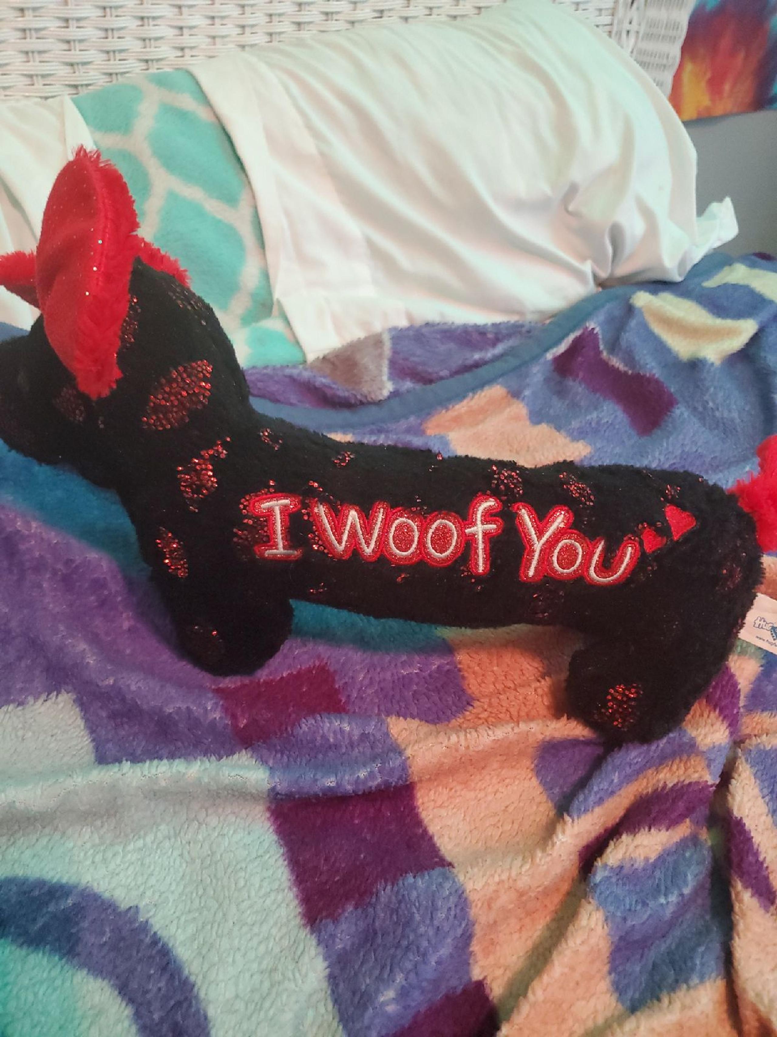 A puppy dog toy