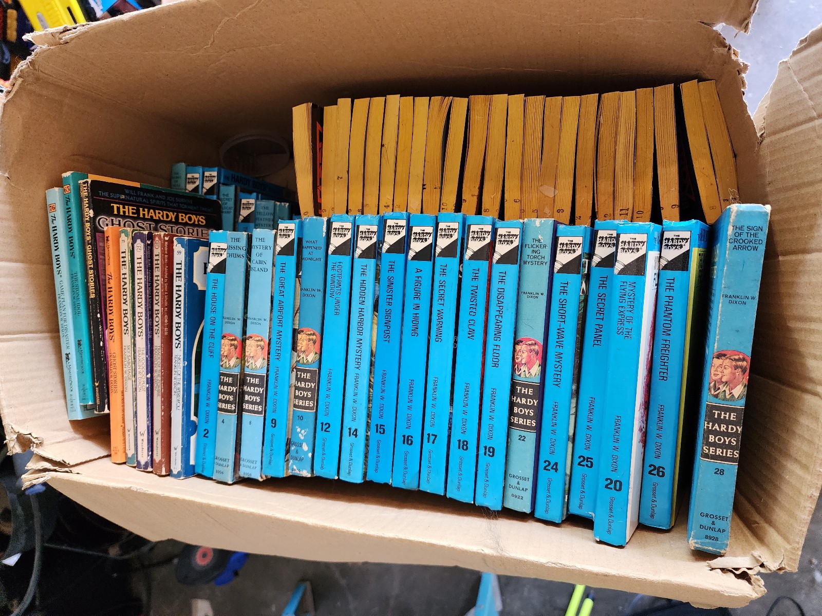 Hardy boys books