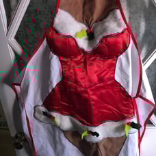 NWOT Christmas foxy lady apron