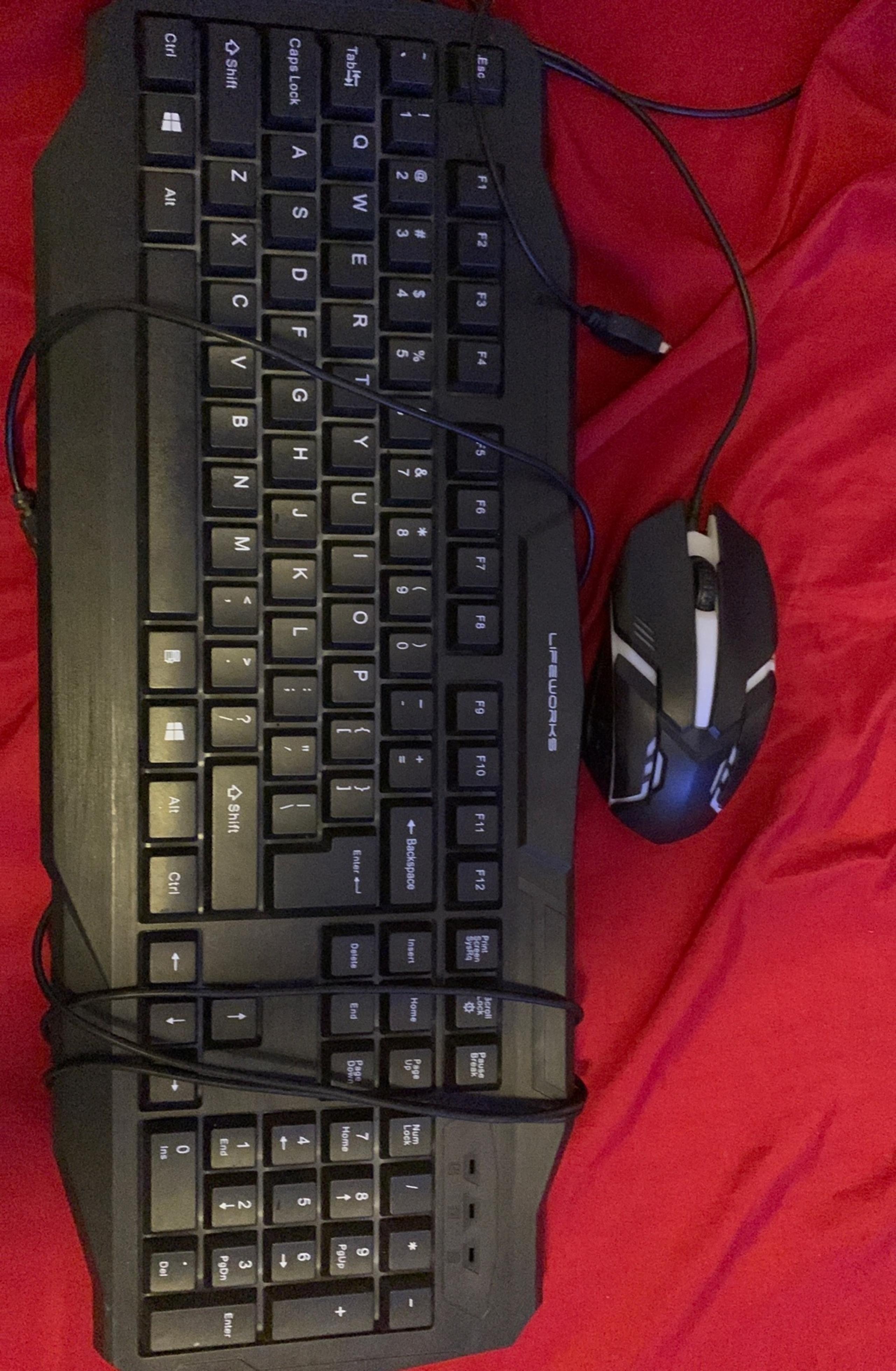 Life works keyboard and a youse mouse