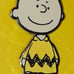 Peanuts Snoopy Woodstock & Charlie Brown Glittery Enamel Metal Pin Combo Set
