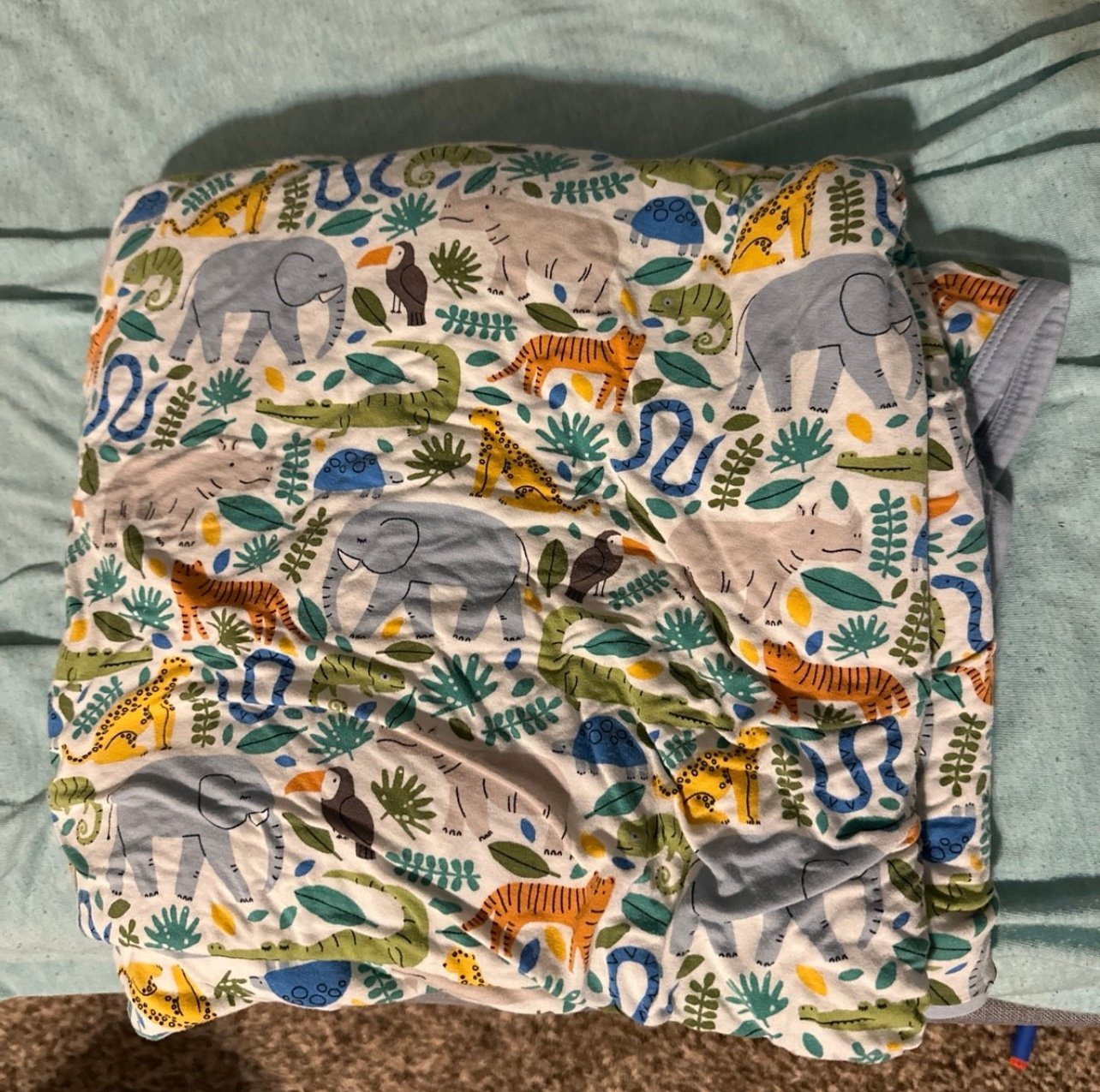 Jungle Safari Cloud
