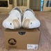 Size 14M - Salehe Bembury Stratus Crocs Pollex Clog Almost White 207393-1CN NEW!