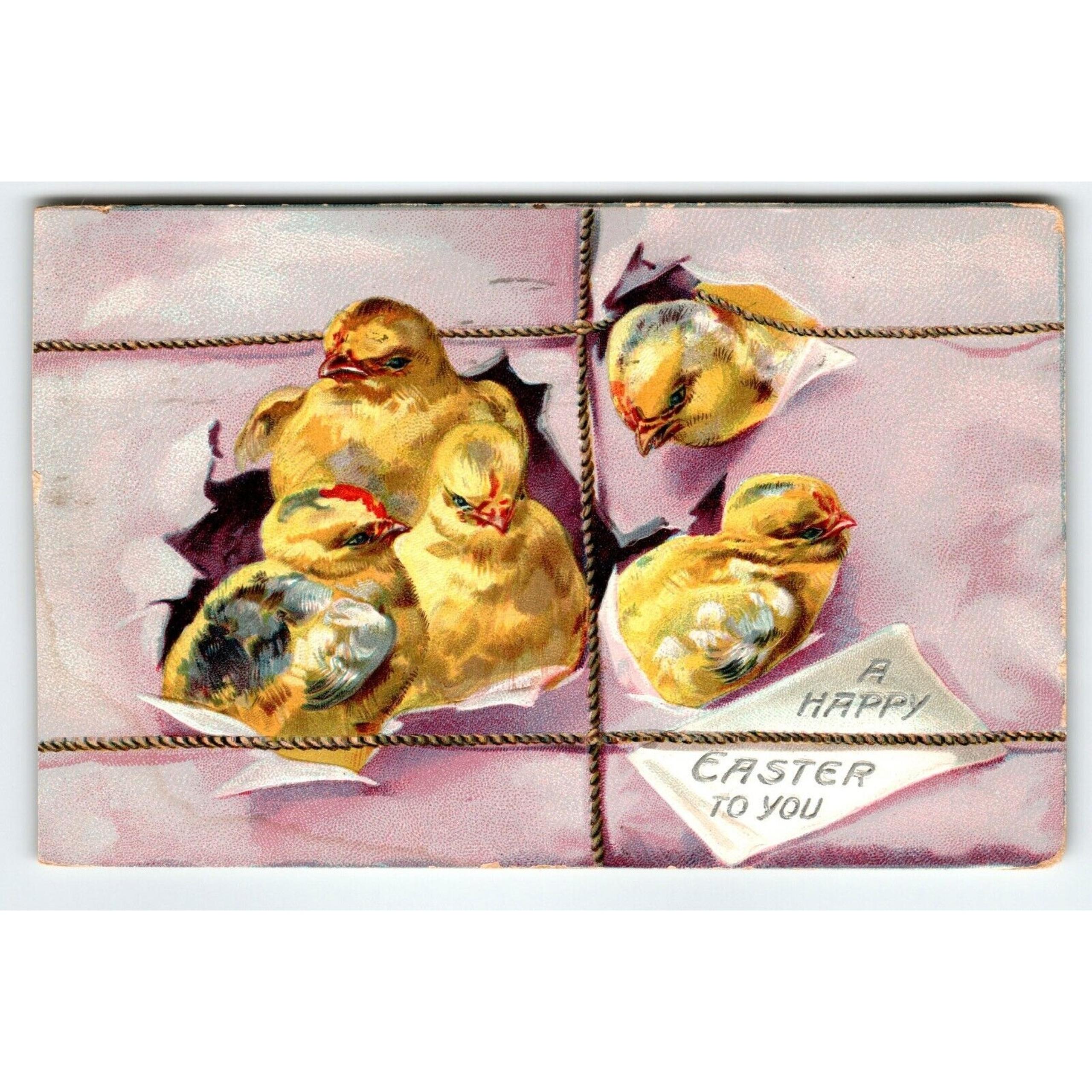 Easter Postcard Baby Chick Heads Pop Out Of Package Series 700 Tuck 1909 Pink