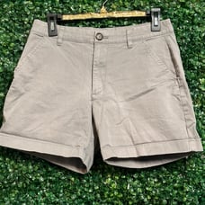 Chubbies Gray Shorts