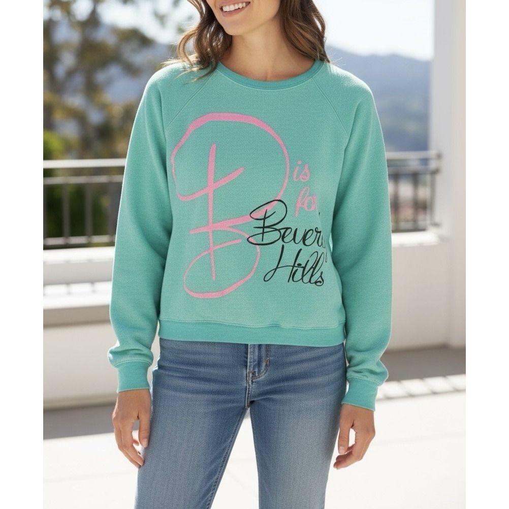 NWT Wildfox Couture Baggy Beach Jumper Sweatshirt Small Rare