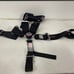 5 point harness race car bucket seats seatbelt