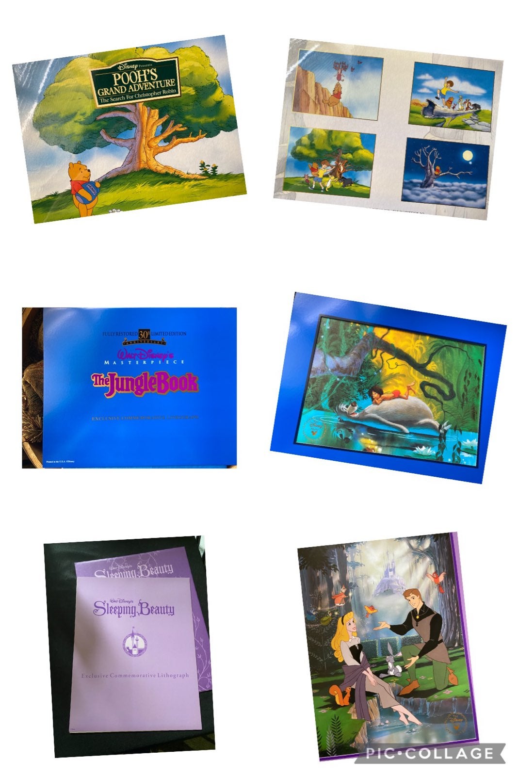 Disney Lithograph