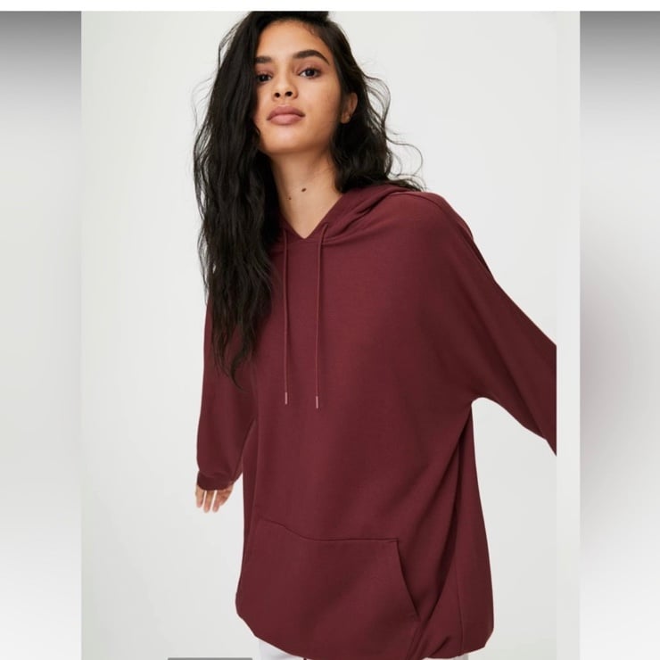 Aritzia Babaton The Group by Babaton REN HOODIE Oversized in red rust