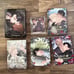 Roses and champagne Vol 1-4 special edition set German