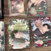 Roses and champagne Vol 1-4 special edition set German