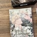 Roses and champagne Vol 1-4 special edition set German
