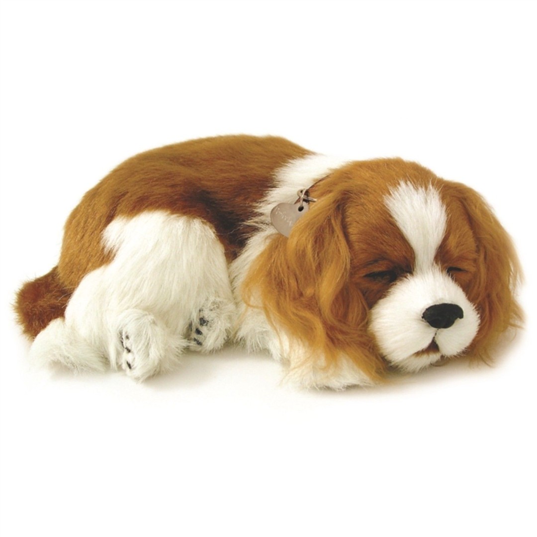 Perfect Petzzz Dog | Cavalier King Charles Realistic Therapy Pet w/ Pet Bed,