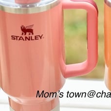 Winter Berry Shimmer Stanley 40oz tumbler