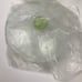 Temp-Tations Floral Lace Lime Cook + Look 3pc. Baker Set NEW