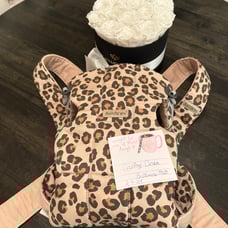 baby bjorn mini carrier