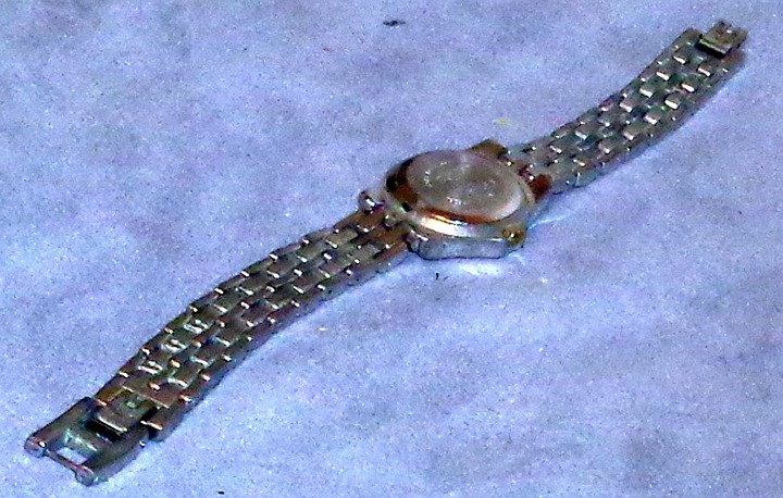Woman's Peck & Peck fashion Watch Silvertone Working