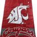 Vintage Washington State Cougars flag 29x42