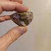 Beautiful Australian Boulder Opal Cabochon Rough