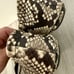 Tory Burch Size 7.5 Reva Ballet Flat Ballerina Python Leather Snakeskin